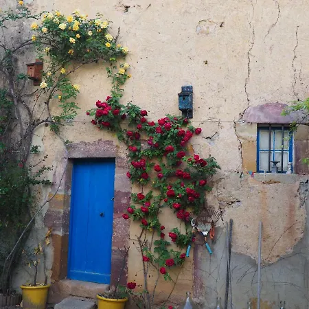 Maison Du Parc Bed & Breakfast